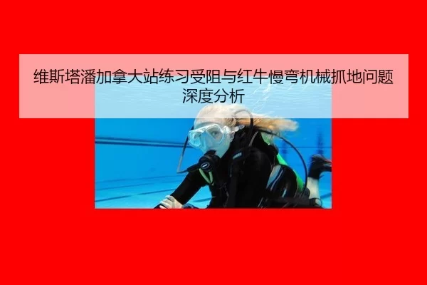 wei-si-ta-pan-jia-na-da-zhan-lian-xi-shou-zu-yu-hong-niu-man-wan-ji-xie-zhua-di-wen-ti-shen-du-fen-xi-2-491.jpg